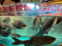 -魏铭鱼头捞饭(晋阳路店)