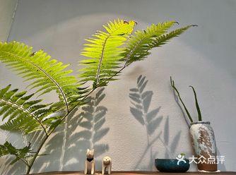 Milo café，光影软装绝绝子，融合了南洋pat