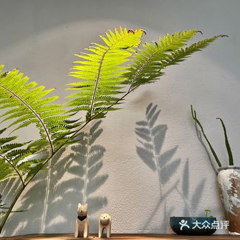 Milo café，光影软装绝绝子，融合了南洋pat