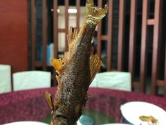 -红泥美食坊(良安路店)