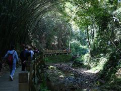 -凤栖山