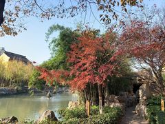 -圆通寺
