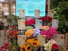 -合景·悠方(成都店)