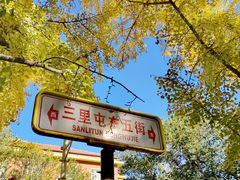 -三里屯东五街银杏大道