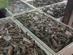 -金巴兰鱼市场