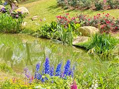 -人民公园(罗湖区)