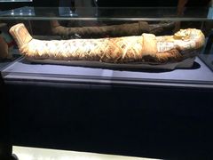 -浙江西湖美术馆