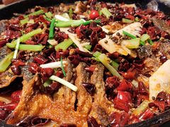 老板恋上鱼-老板恋上鱼(环山路店)