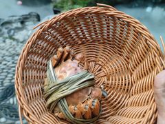 -蟹村草堂·苏式园林人文农家·大闸蟹