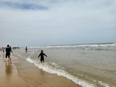-日照海滨国家森林公园