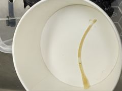 -爱侣宠医·鹦鹉专科·小型哺乳类·异宠专科(灵石路店)