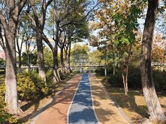 -凤城河风景区