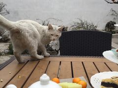 -苏州文旅花间堂·探花府酒店