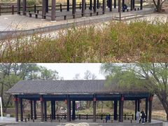 -万泉公园