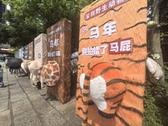 -深圳野生动物园