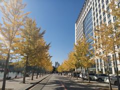 -东北大学(南湖校区)