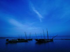 -贡湖湾湿地公园