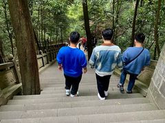 -泰山风景名胜区-普照寺