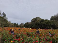 -萨尔浒风景区