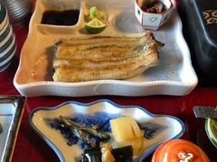 -料亭菊水楼