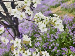 -江苏三台山国家森林公园