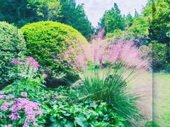 -上海辰山植物园