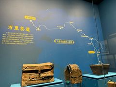 -呼和浩特博物馆