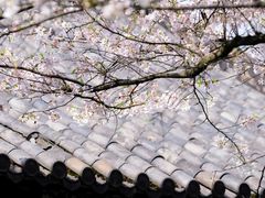 -杭州植物园
