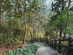 -千岛湖天屿景区