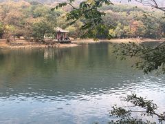 -紫霞湖公园