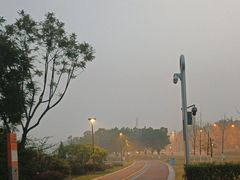 -桂溪生态公园