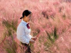 -艾溪湖湿地公园