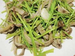 -逢春菜馆天津菜(胜利路店)