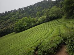 -敬亭山风景名胜区
