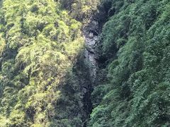 -阿依河景区
