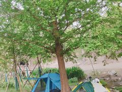 -白水寺森林公园