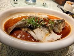 -十二月·宁夏盐池滩羊肉火锅