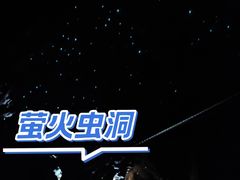-怀托摩萤火虫洞