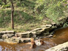 -大连森林动物园