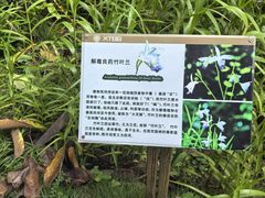 -中国科学院西双版纳热带植物园