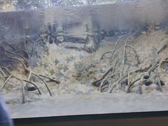 -上海海洋水族馆