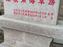 -烟墩角天鹅湖