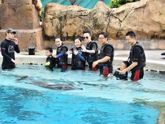 -新加坡水上探险乐园