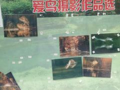 -新江湾城公园