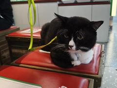 -成都你六姐·牛肉冒菜(城市集市合生汇店)