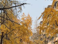 -罗妈砂锅(四川成都奎星楼店)