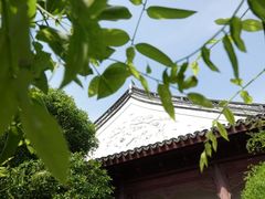 -檀园