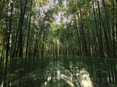 -竹泉村旅游度假区
