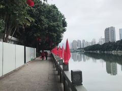 -光明港公园