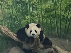 -武汉动物园